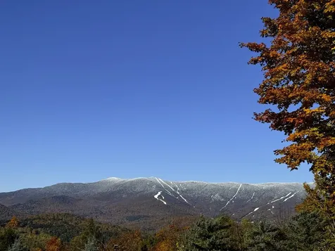 458 Cider Mountain Road Warren VT 05674