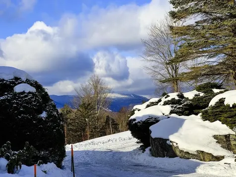 458 Cider Mountain Road Warren VT 05674