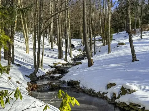 458 Cider Mountain Road Warren VT 05674