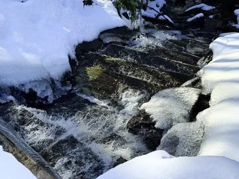 458 Cider Mountain Road Warren VT 05674