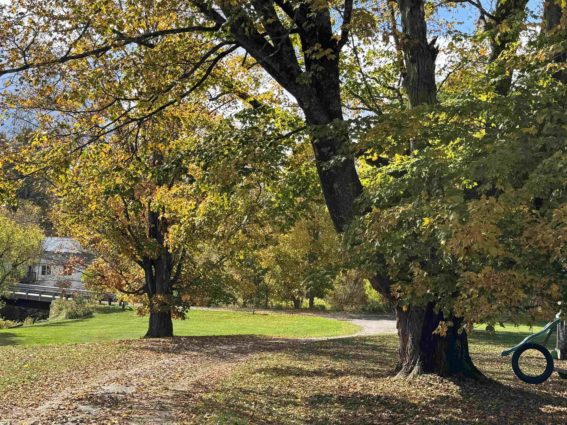 88 Gillen Avenue Johnson VT 05656