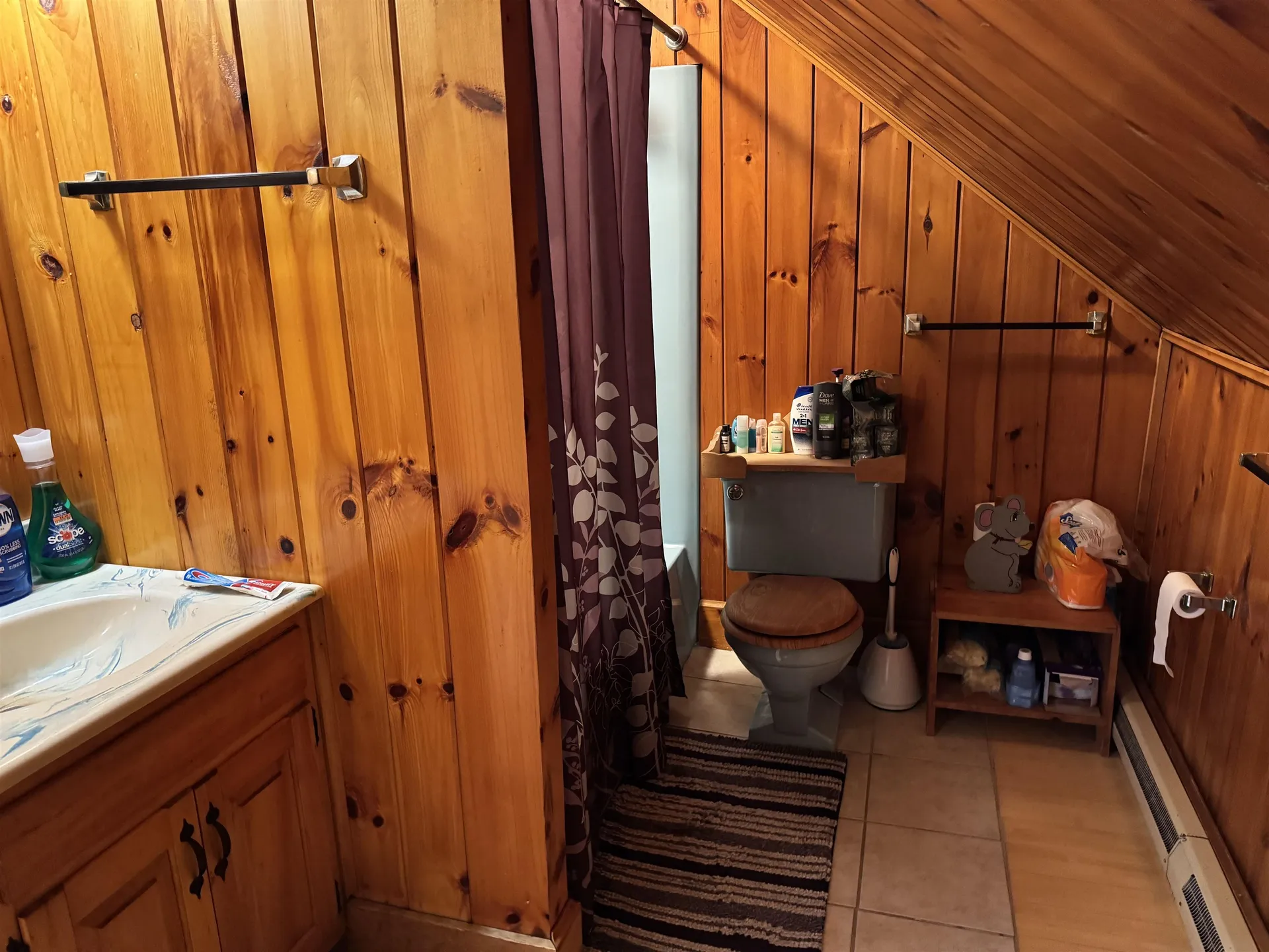 88 Gillen Avenue Johnson VT 05656