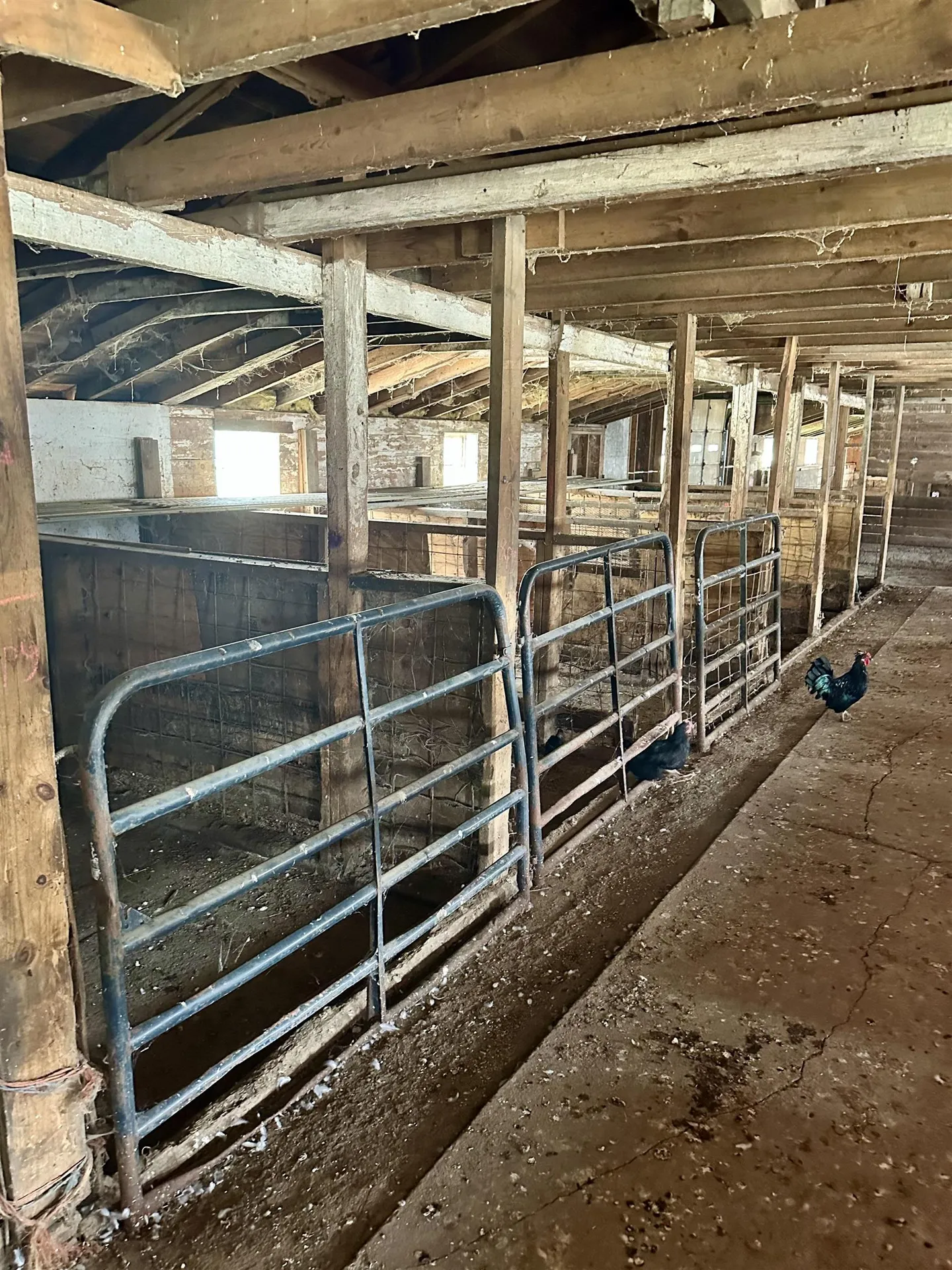 288 Walker Road Poultney VT 05764