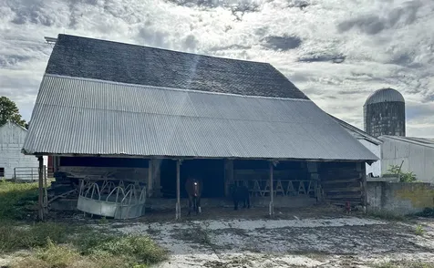 288 Walker Road Poultney VT 05764