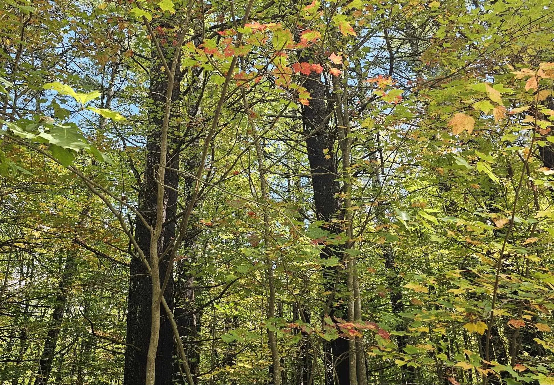 586 C-4 Craney Hill Road Henniker NH 03242