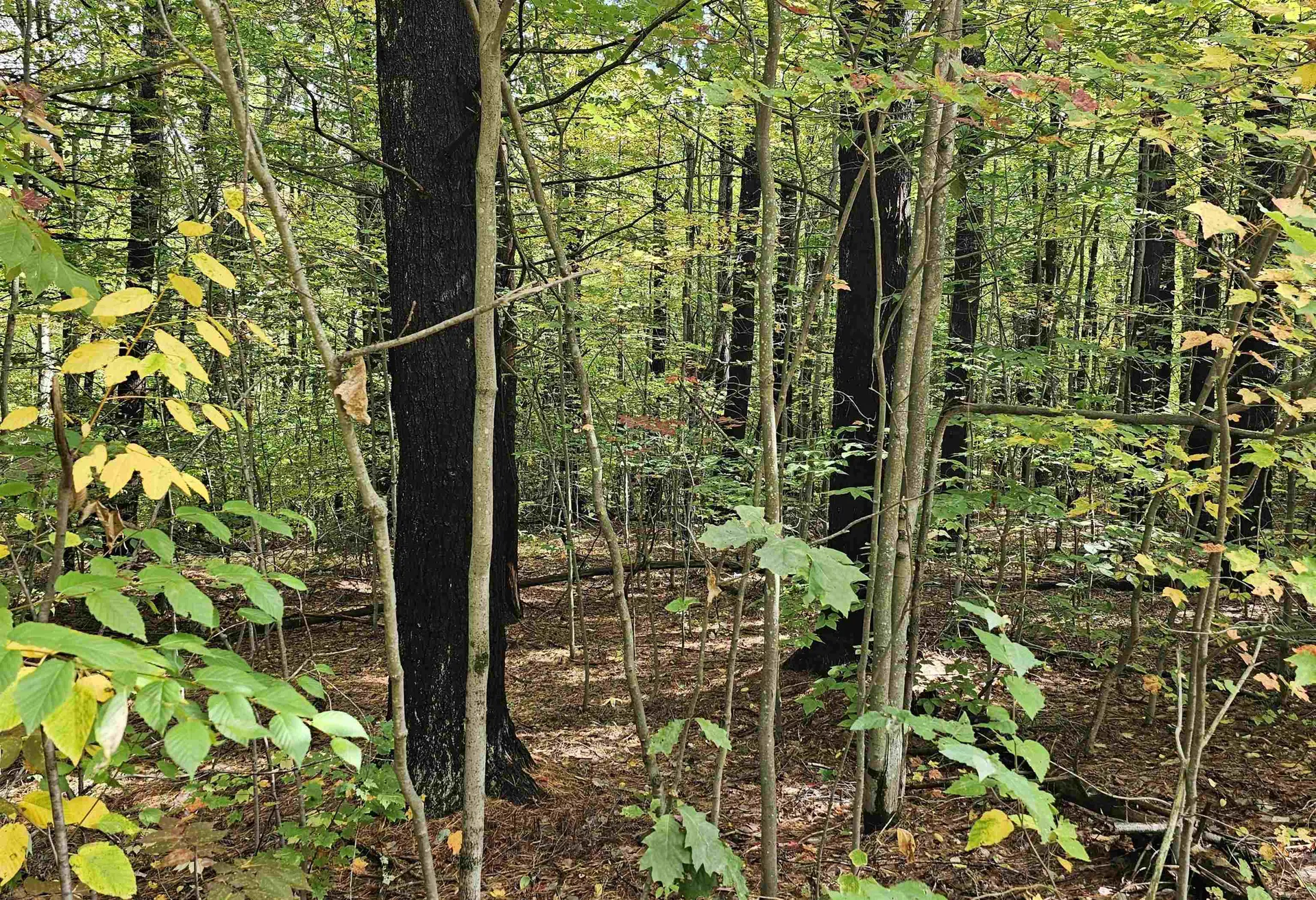 586 C-4 Craney Hill Road Henniker NH 03242