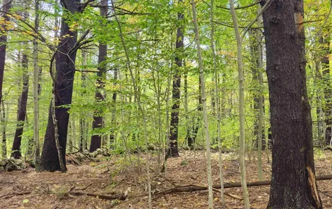 586 C-4 Craney Hill Road Henniker NH 03242