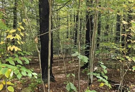 586 C-4 Craney Hill Road Henniker NH 03242