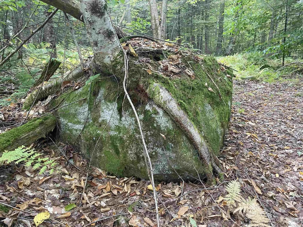 130 Stevens Road Woodbury VT 05681