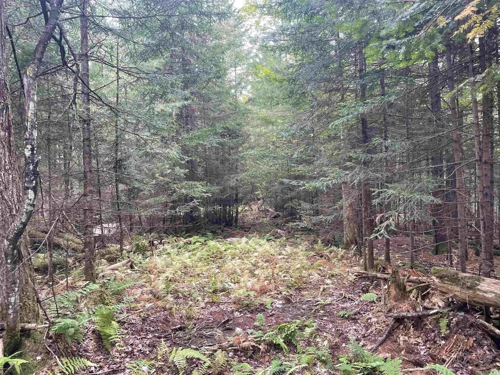 130 Stevens Road Woodbury VT 05681