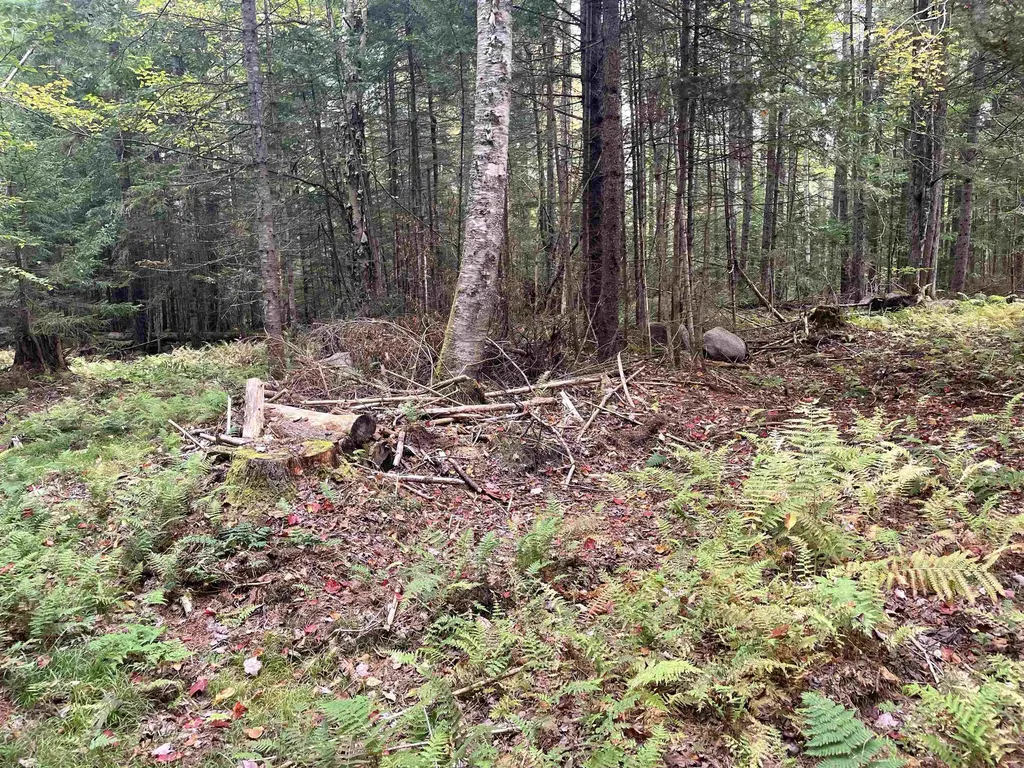 130 Stevens Road Woodbury VT 05681