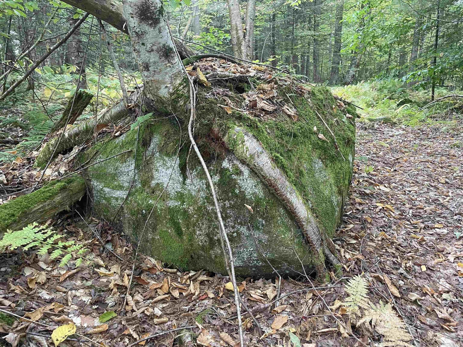 130 Stevens Road Woodbury VT 05681