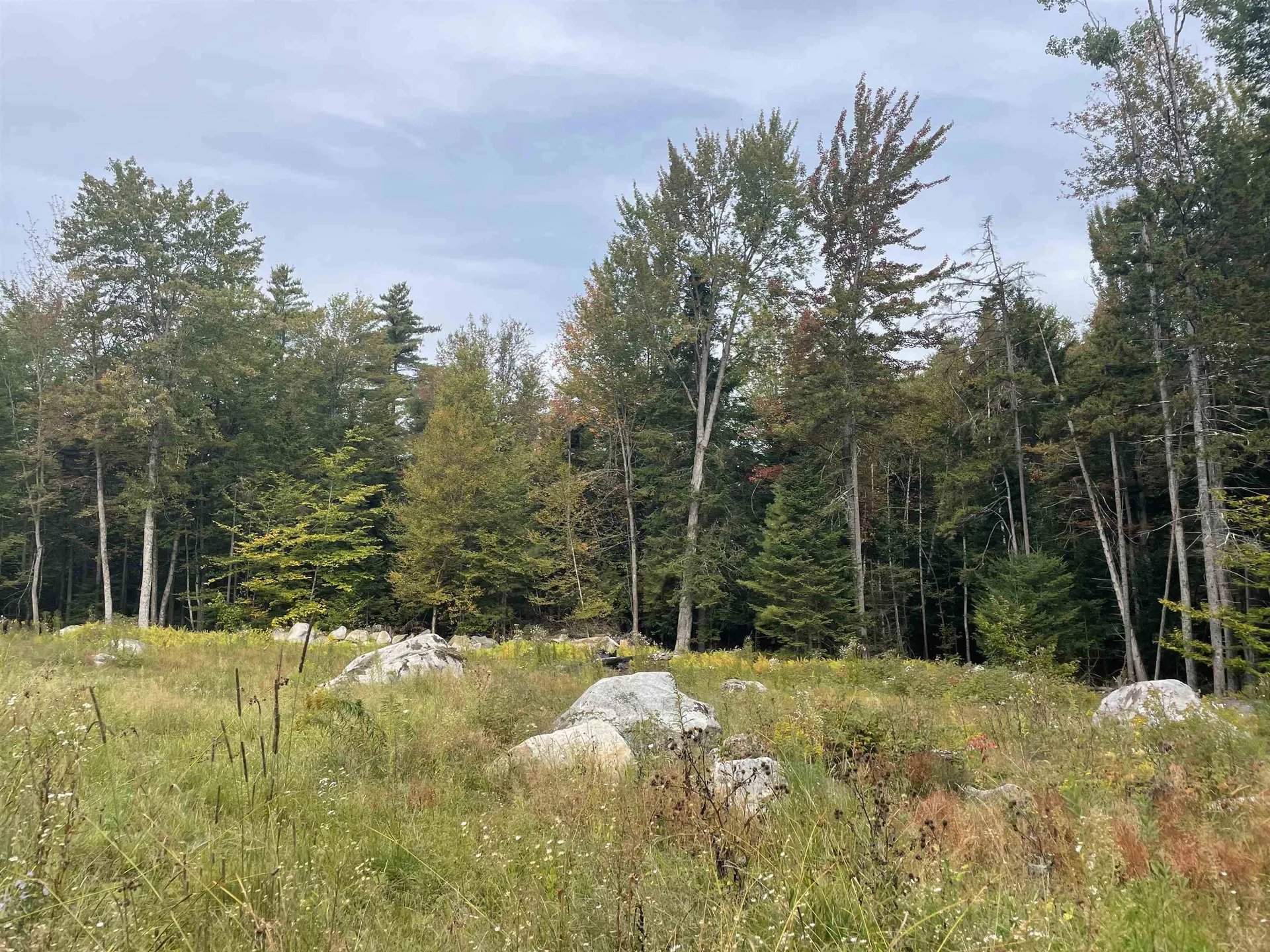 130 Stevens Road Woodbury VT 05681