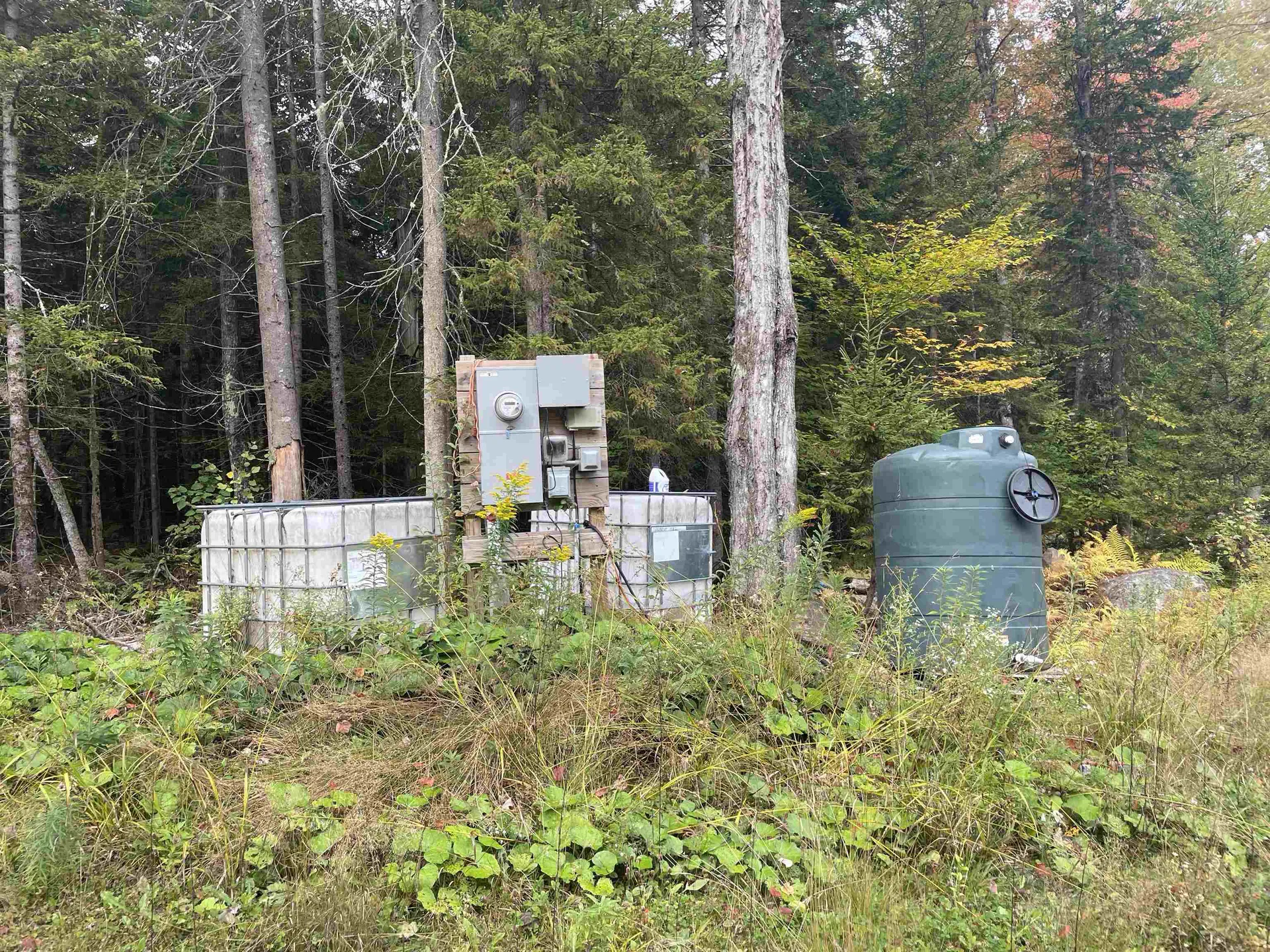 130 Stevens Road Woodbury VT 05681