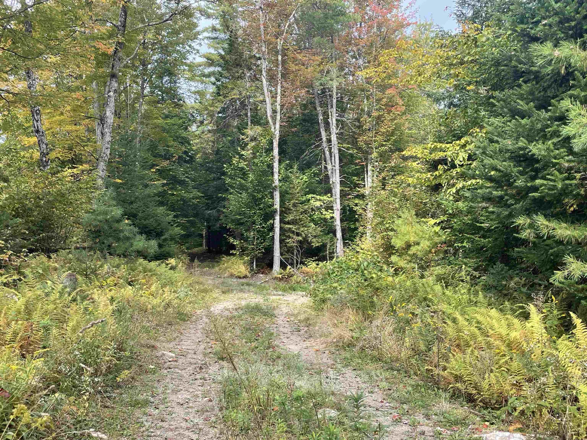 130 Stevens Road Woodbury VT 05681