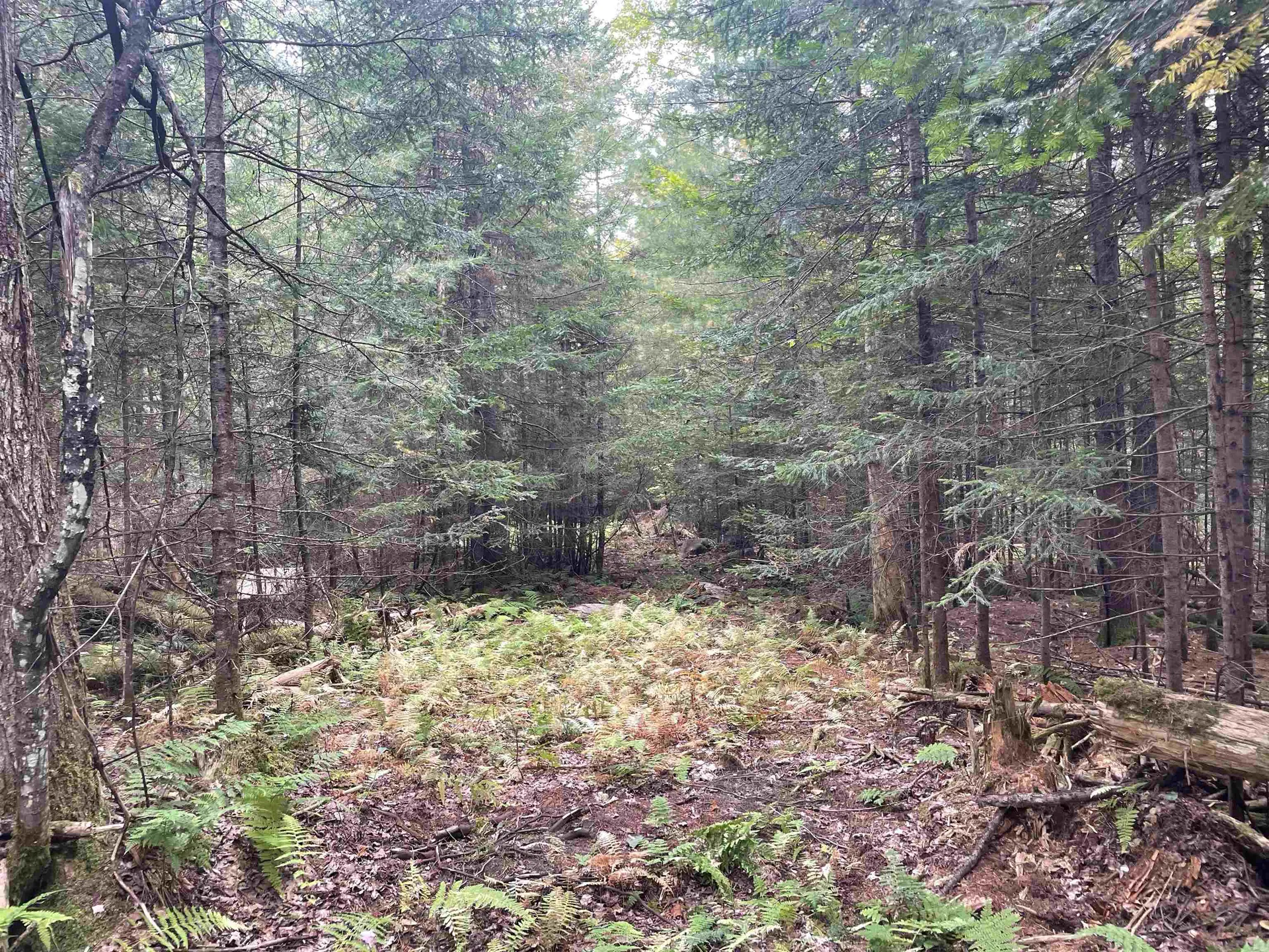 130 Stevens Road Woodbury VT 05681