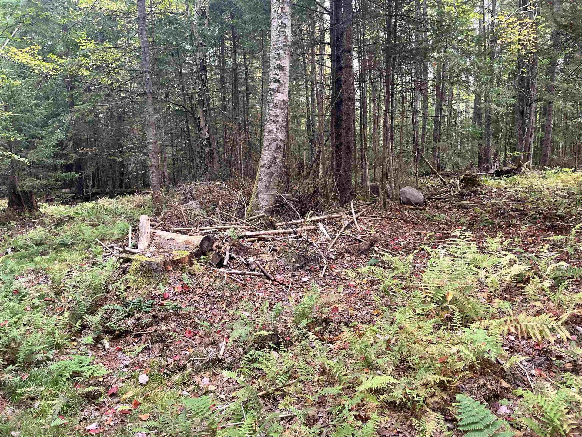 130 Stevens Road Woodbury VT 05681