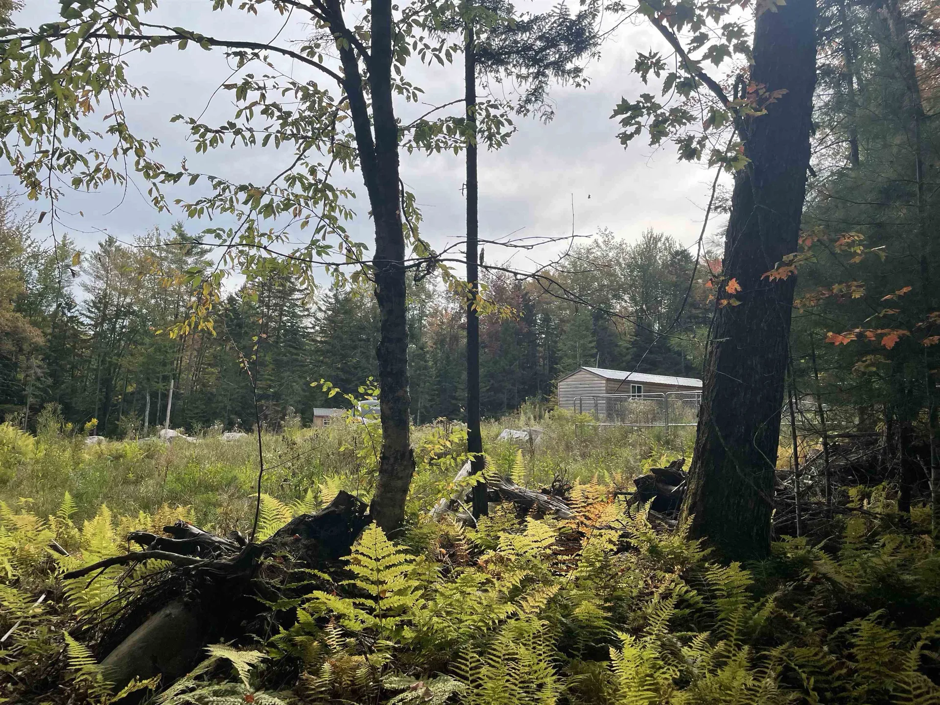 130 Stevens Road Woodbury VT 05681