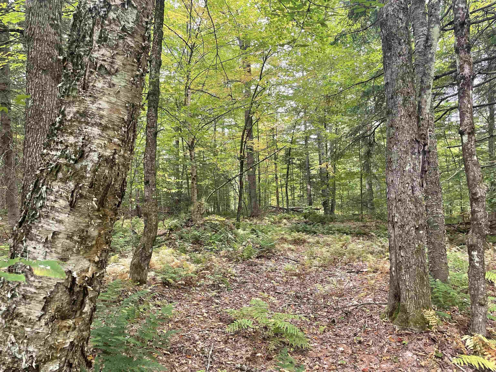 130 Stevens Road Woodbury VT 05681