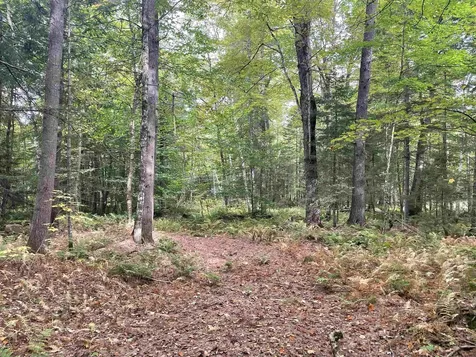 130 Stevens Road Woodbury VT 05681