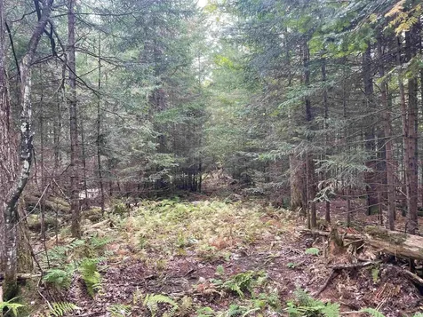 130 Stevens Road Woodbury VT 05681