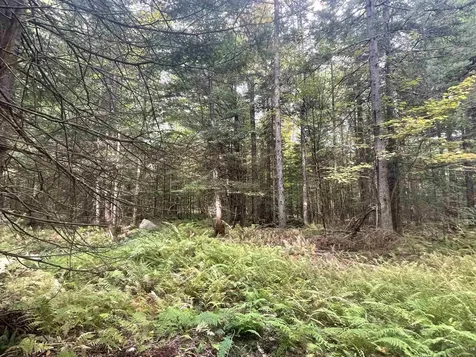 130 Stevens Road Woodbury VT 05681