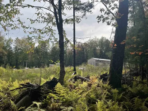 130 Stevens Road Woodbury VT 05681