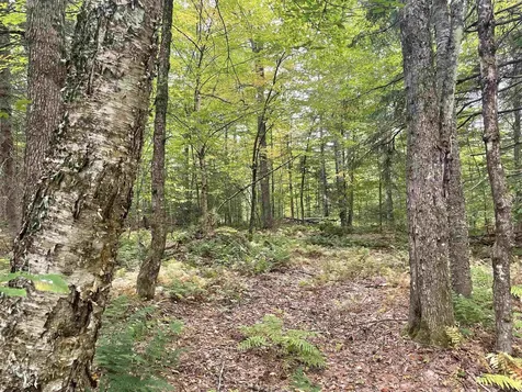 130 Stevens Road Woodbury VT 05681