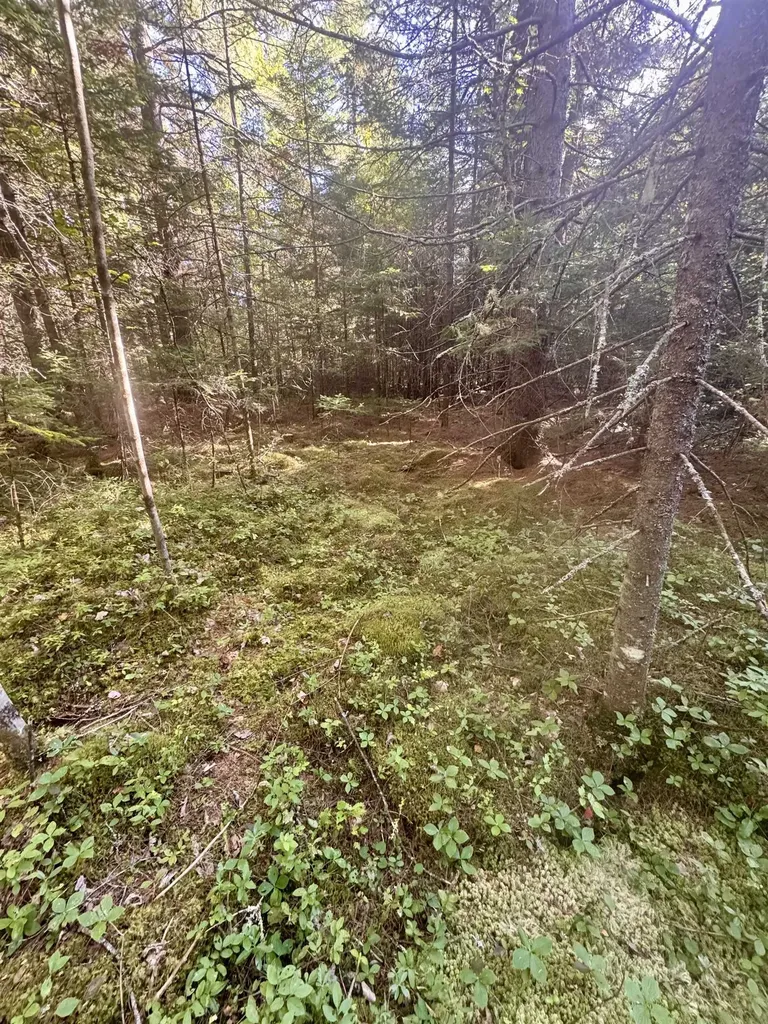 0 Thorn Hill Road Bethlehem NH 03574