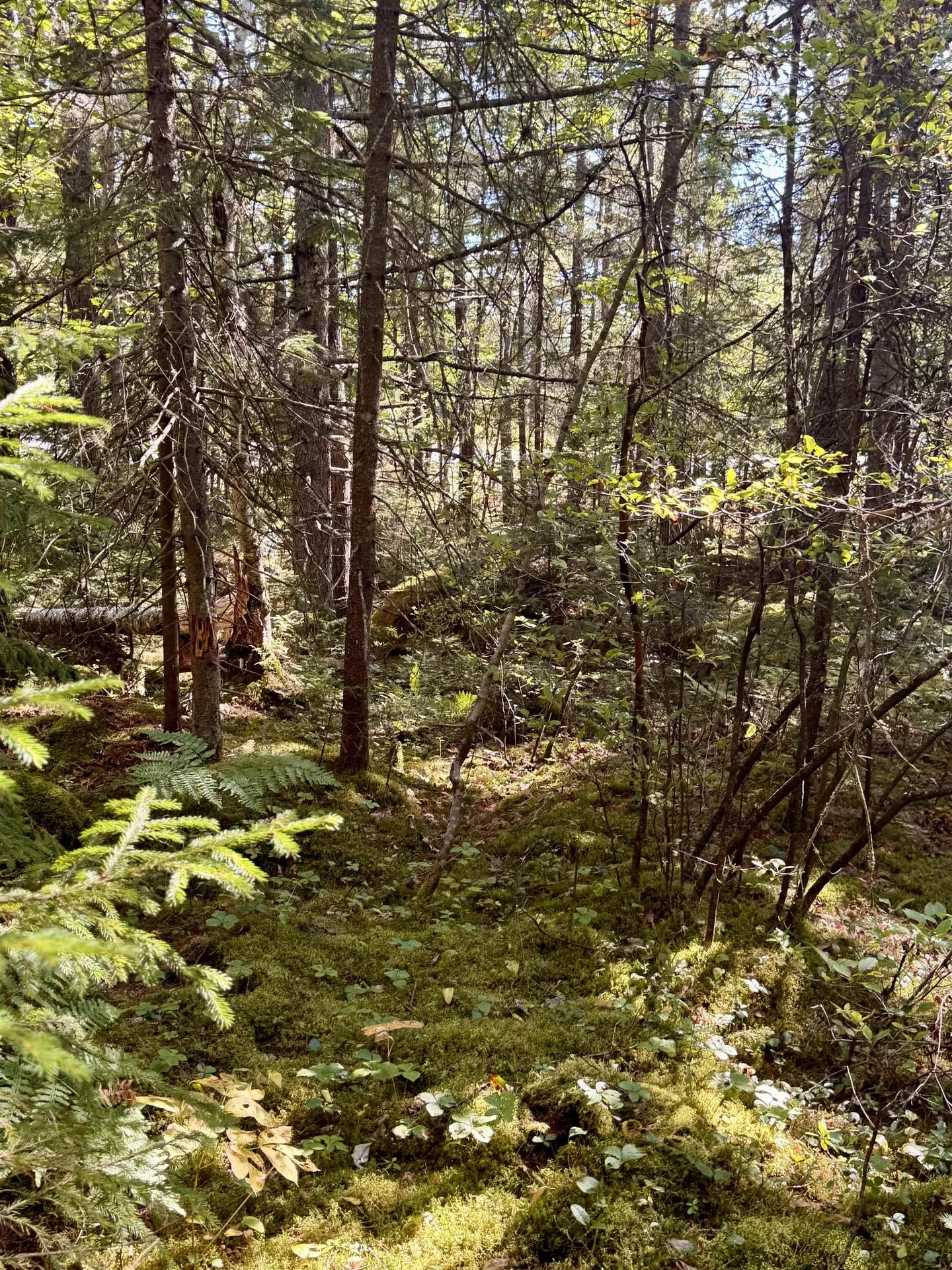 0 Thorn Hill Road Bethlehem NH 03574