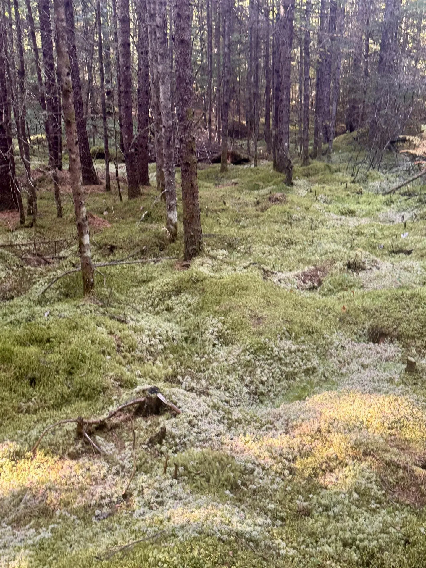 0 Thorn Hill Road Bethlehem NH 03574