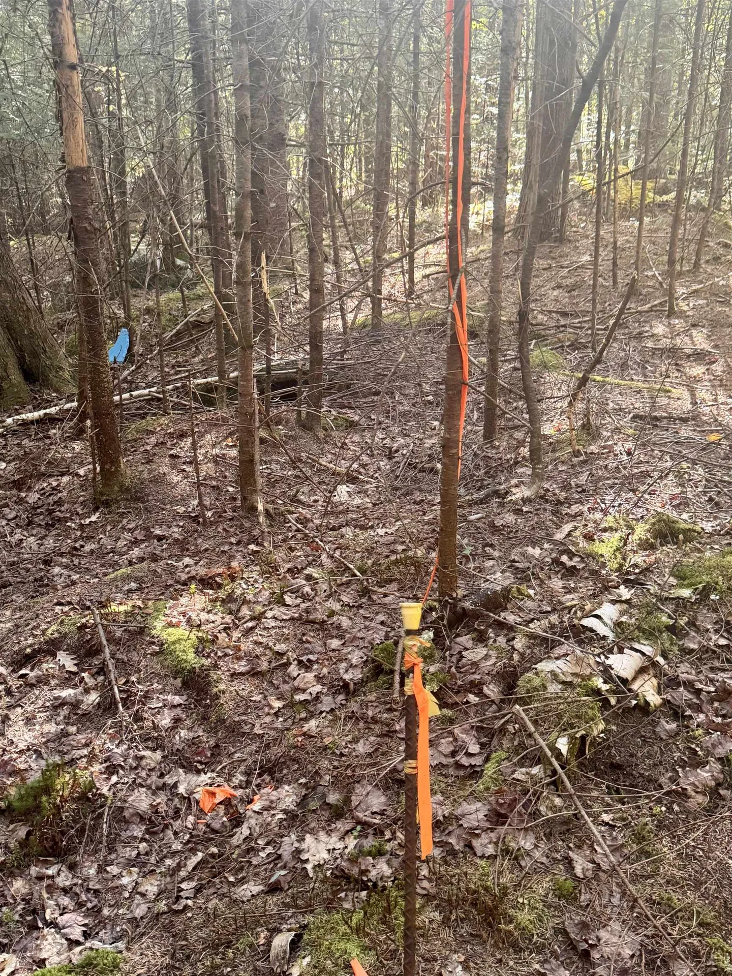 0 Thorn Hill Road Bethlehem NH 03574