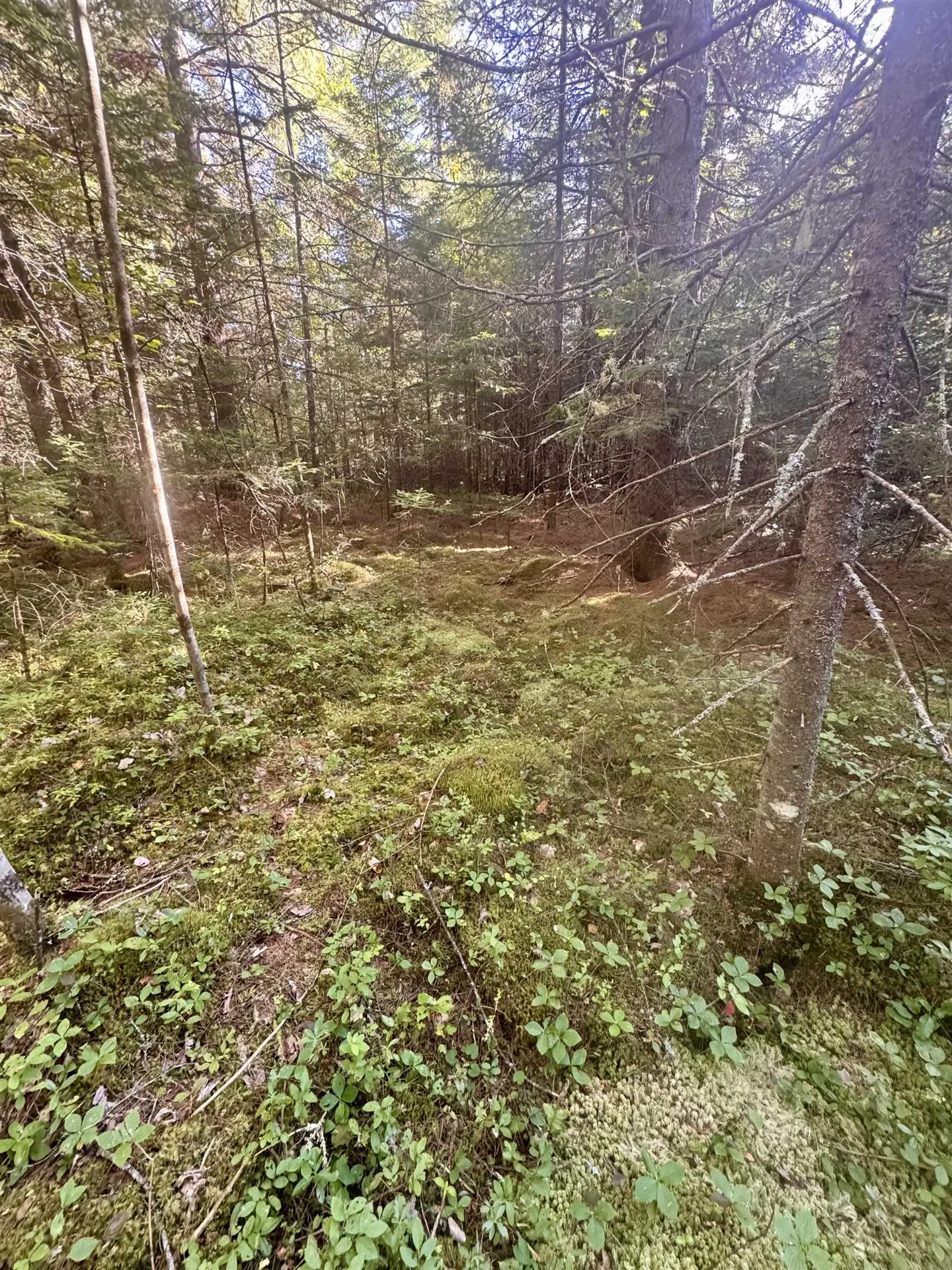 0 Thorn Hill Road Bethlehem NH 03574