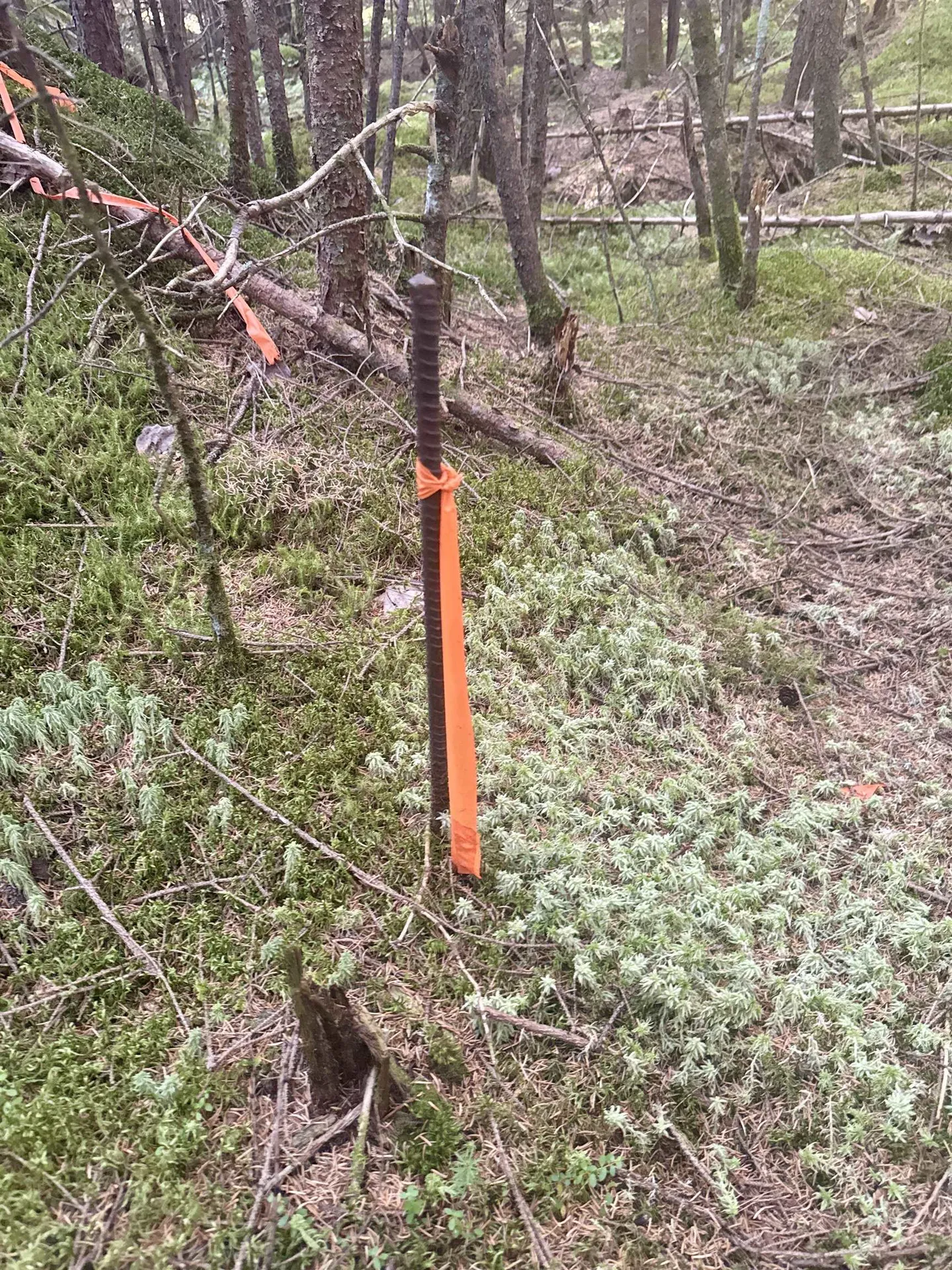 0 Thorn Hill Road Bethlehem NH 03574