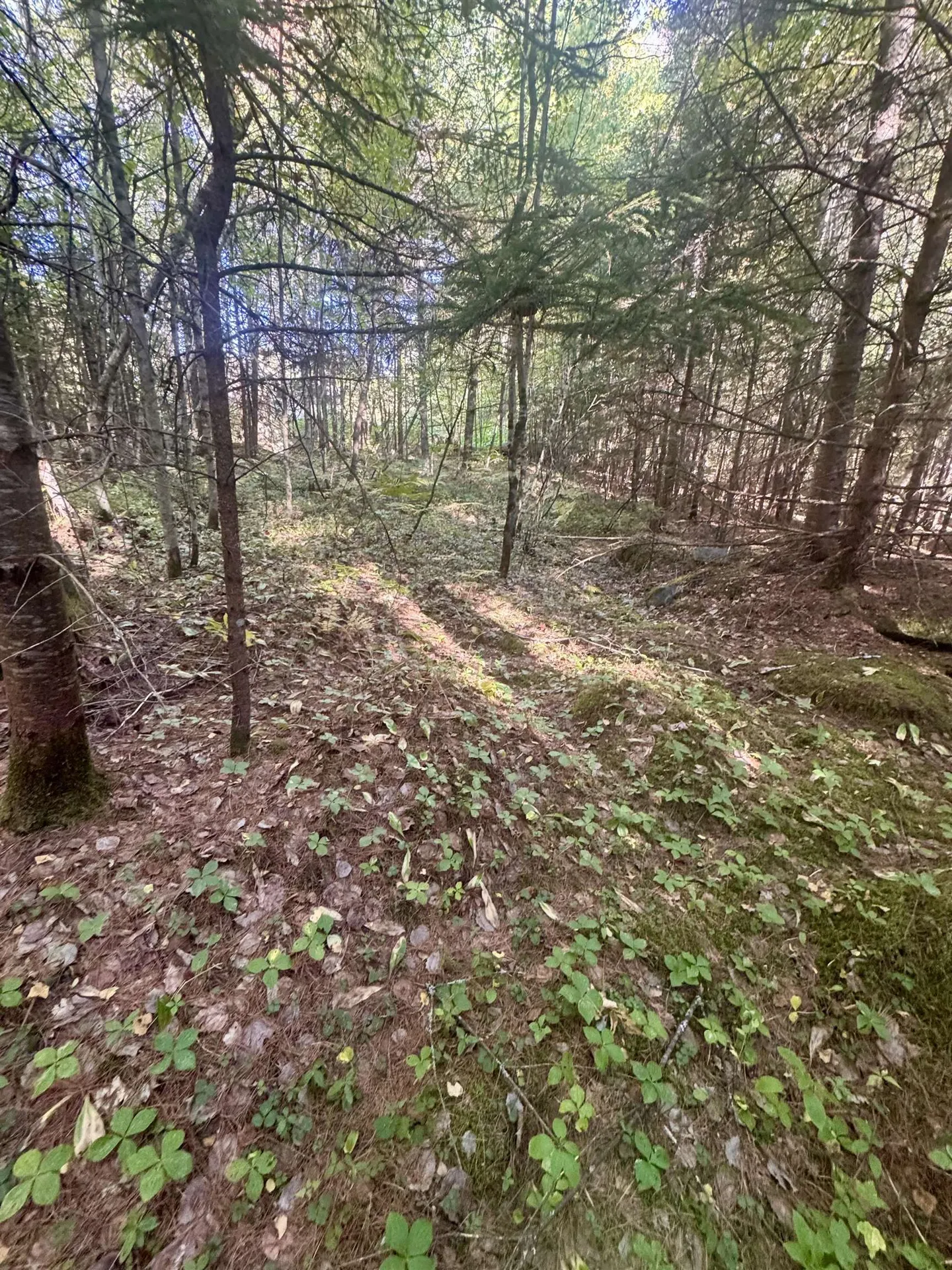 0 Thorn Hill Road Bethlehem NH 03574