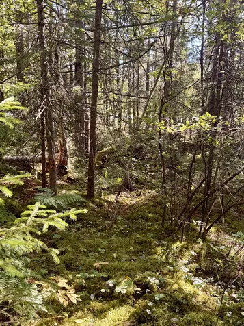 0 Thorn Hill Road Bethlehem NH 03574