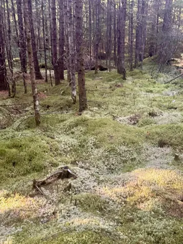 0 Thorn Hill Road Bethlehem NH 03574