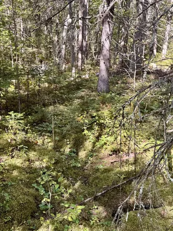 0 Thorn Hill Road Bethlehem NH 03574