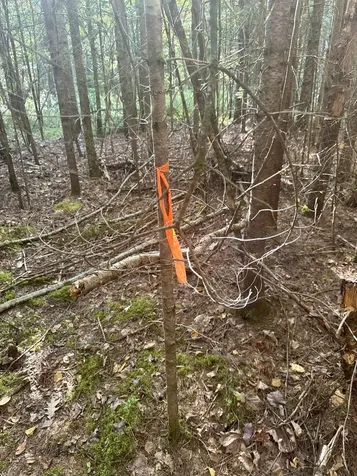 0 Thorn Hill Road Bethlehem NH 03574