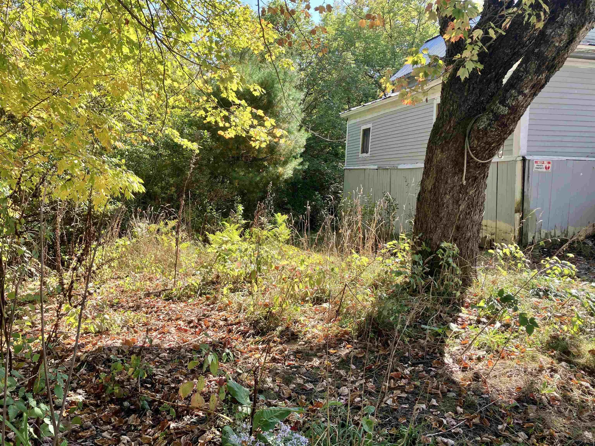 71 Woodbury Street Hardwick VT 05843