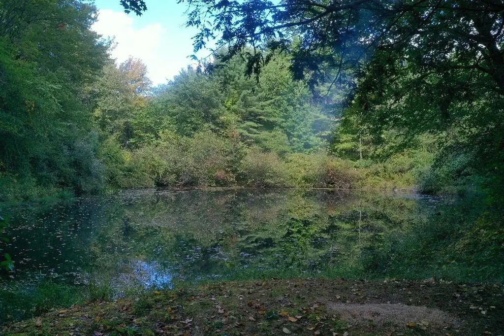 135 Exeter Road North Hampton NH 03862