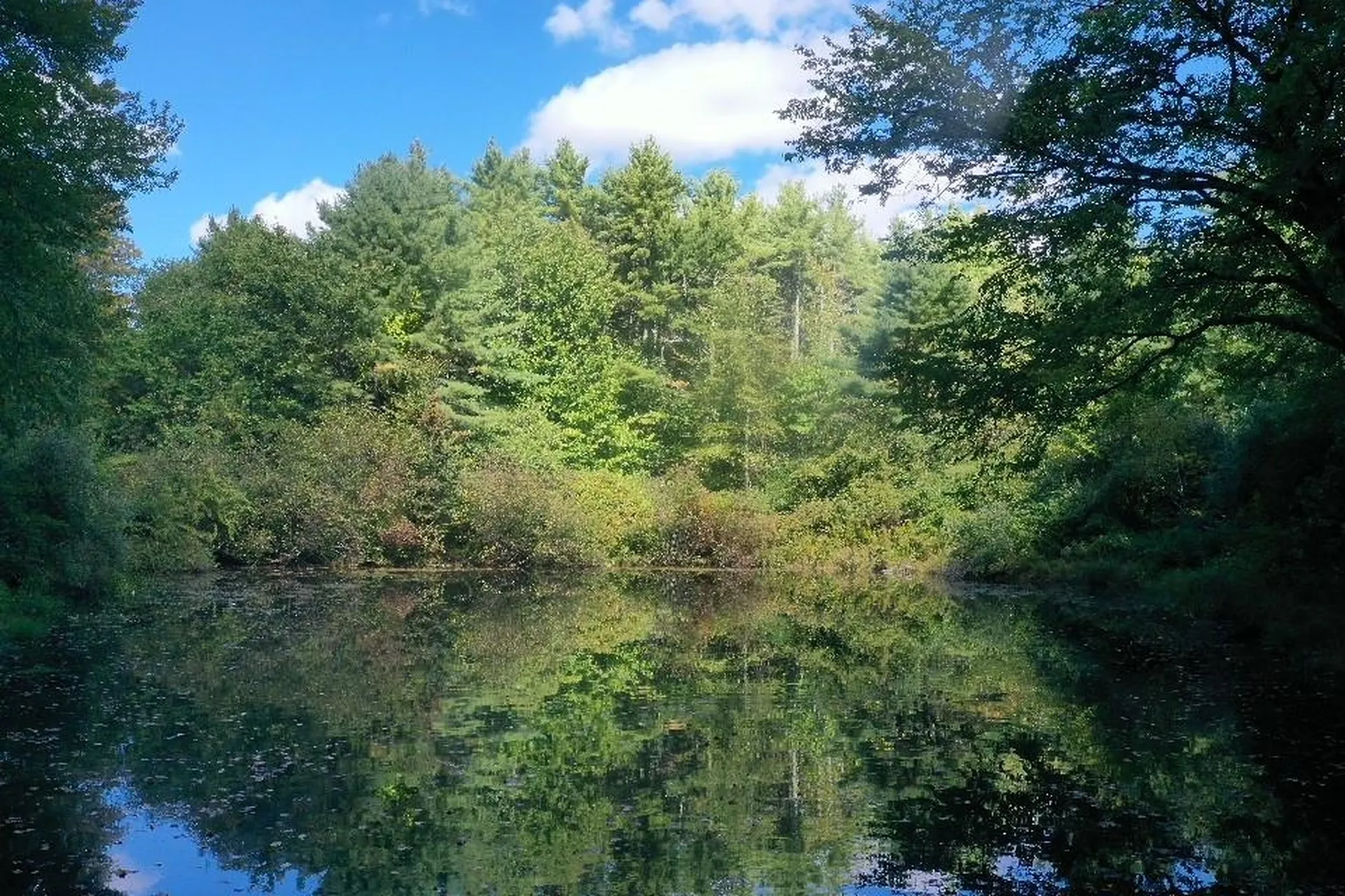 135 Exeter Road North Hampton NH 03862