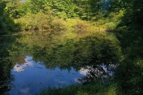 135 Exeter Road North Hampton NH 03862