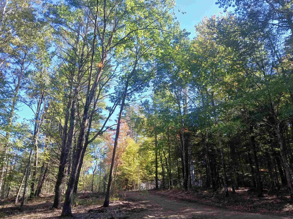 373 Calef Highway Lee NH 03861