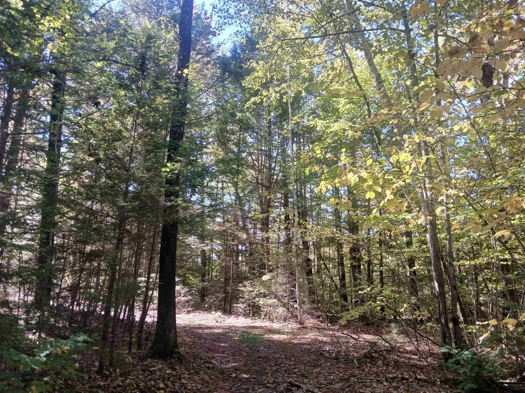 373 Calef Highway Lee NH 03861