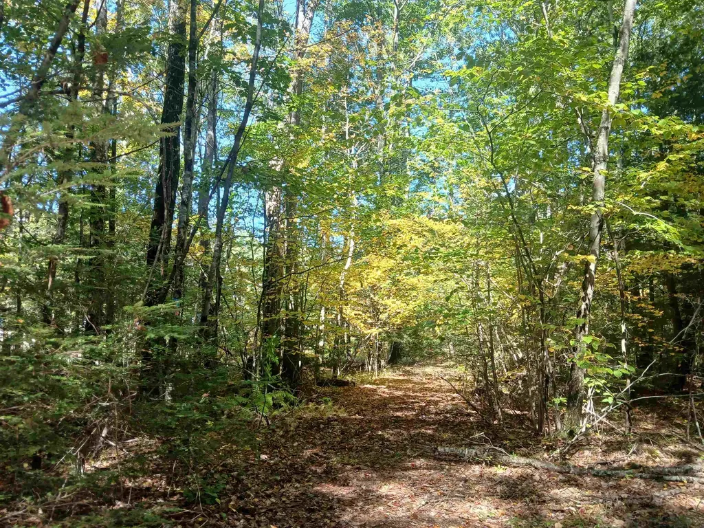 373 Calef Highway Lee NH 03861