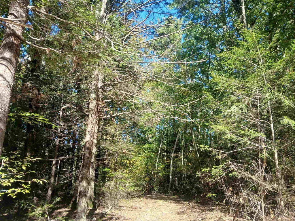373 Calef Highway Lee NH 03861