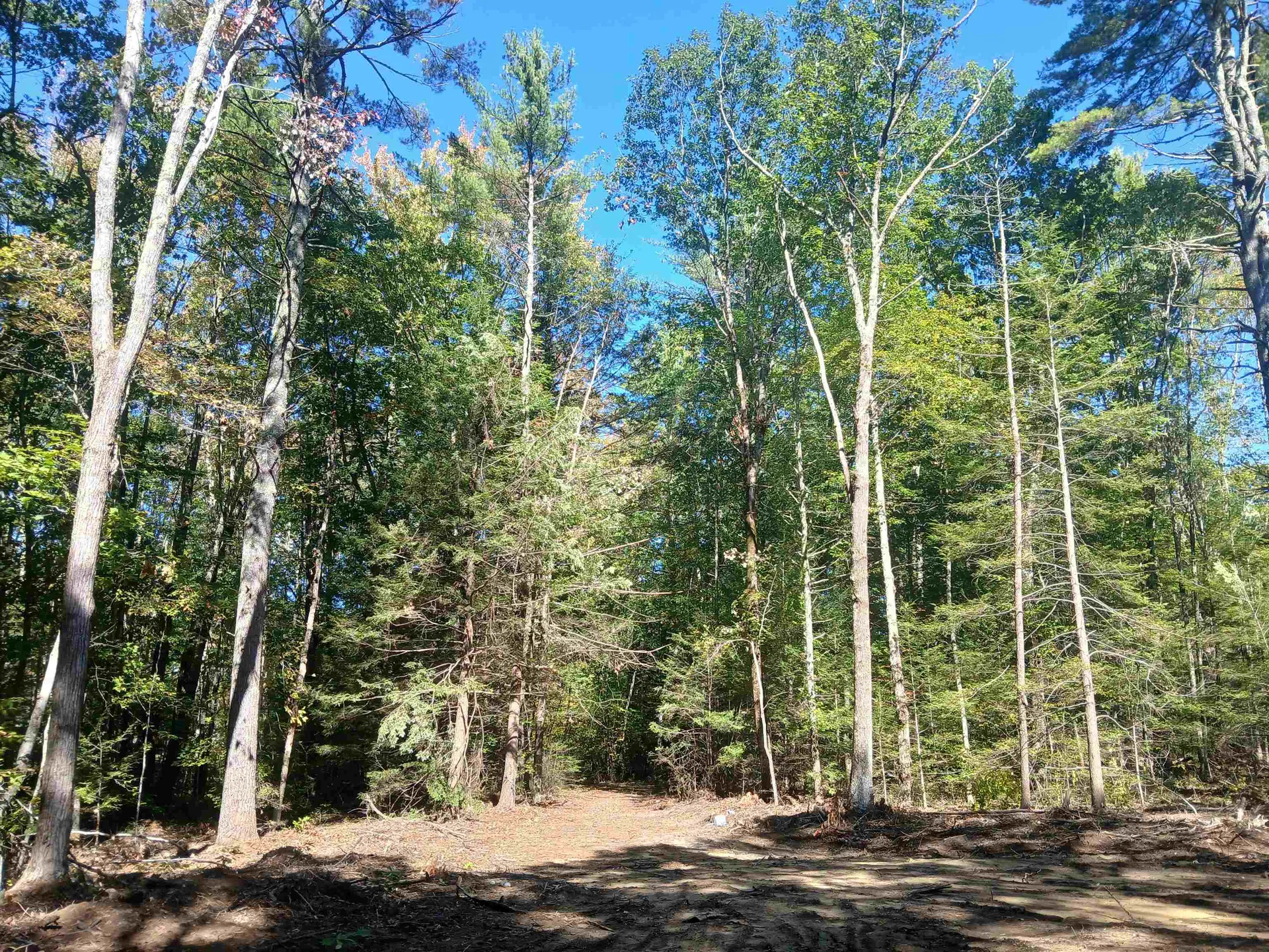 373 Calef Highway Lee NH 03861