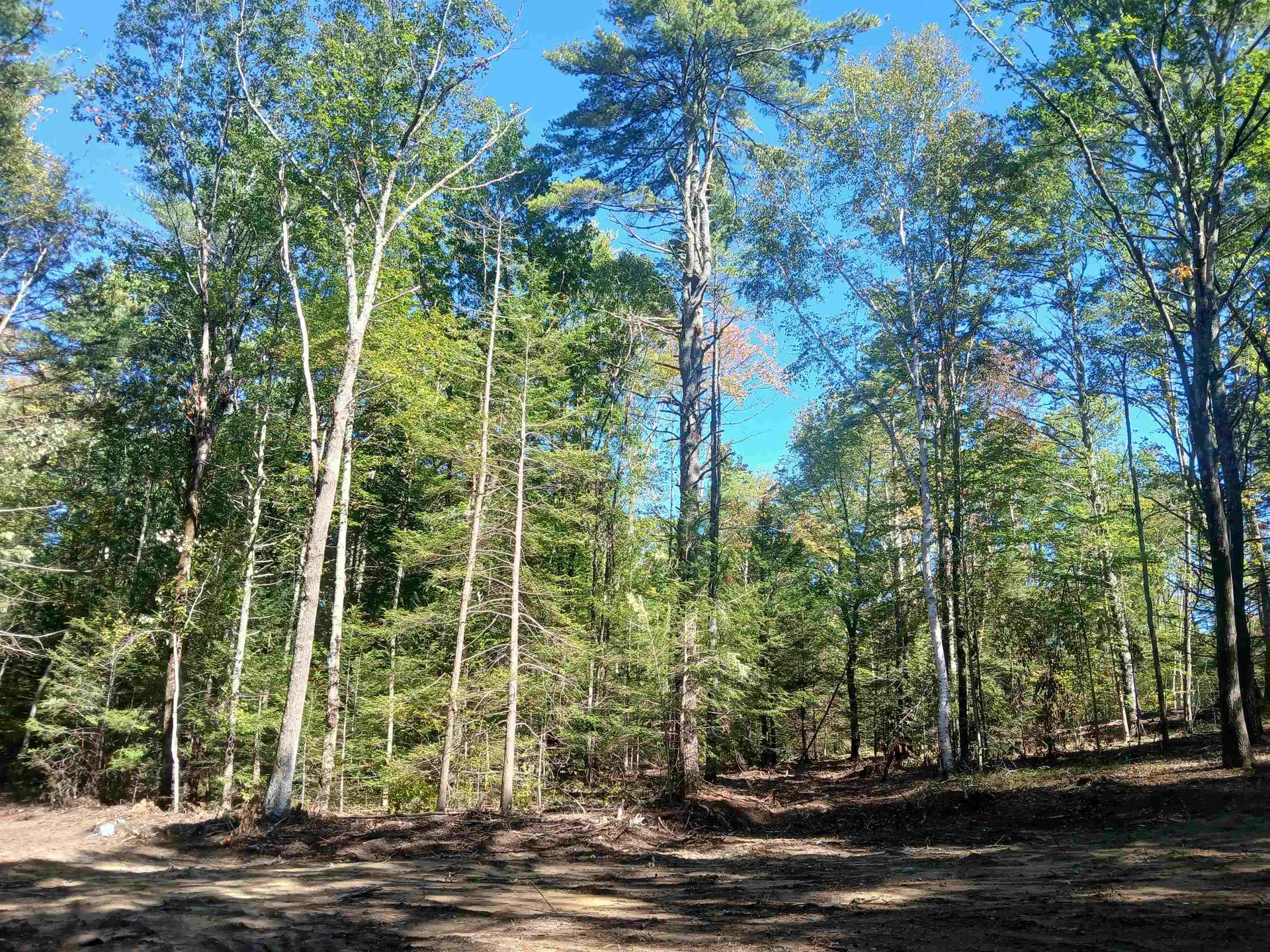 373 Calef Highway Lee NH 03861