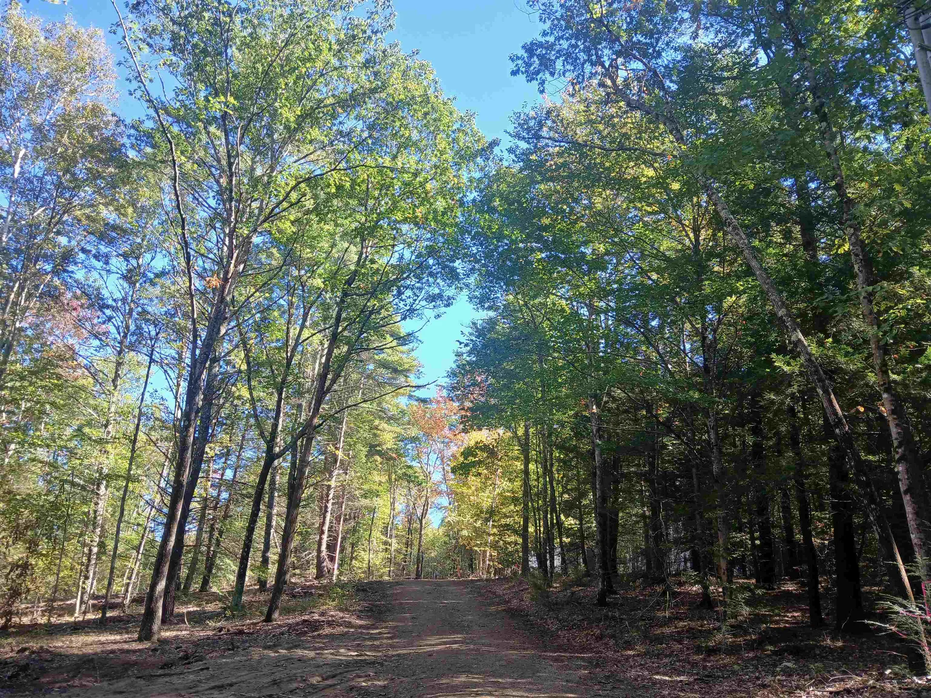 373 Calef Highway Lee NH 03861